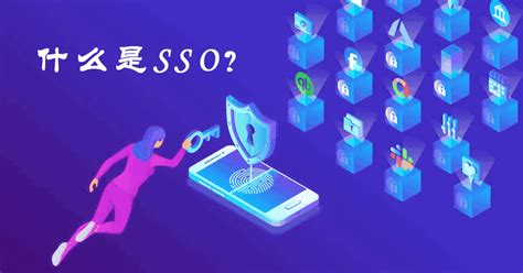 sso 意思